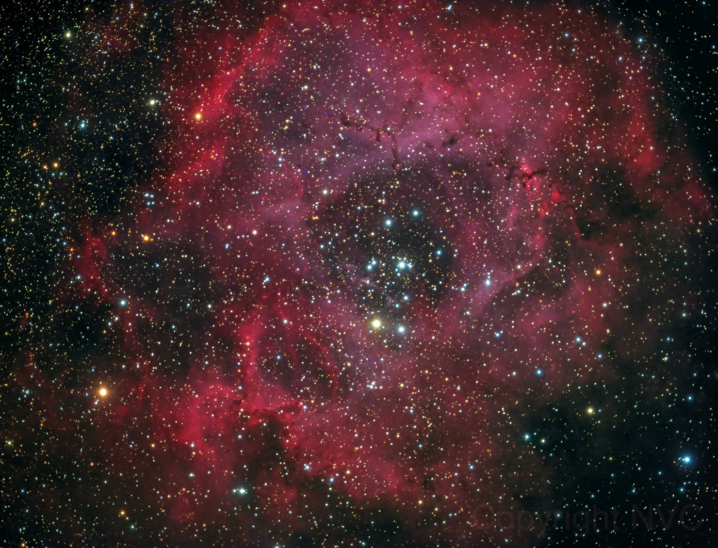 Rosette Nebula NP127is