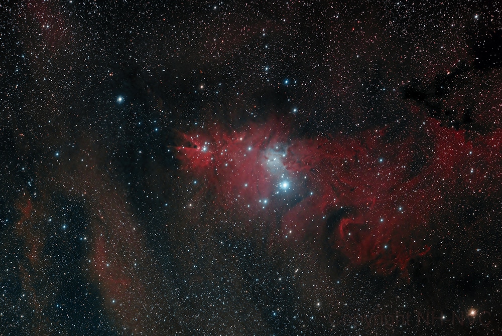 The Cobe Nebula and the Christmas Tree Cluster