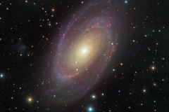M81 Bodes Galaxy (Crowd image)