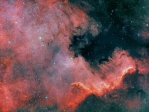 NGC7000, part of the Cygnus Wall, a Ha-color IMG Telescope: Askar FRA600 Camera: zwo asi 071MC PRO ZWO, ATIK Horizon beta camera Filters: Optolong L-Pro 2" Optolong, Baader Ha 7nm 2" Baader Mount: TTS-160 Panther with rOTAtor Taken by: Niels V. on Astrobin